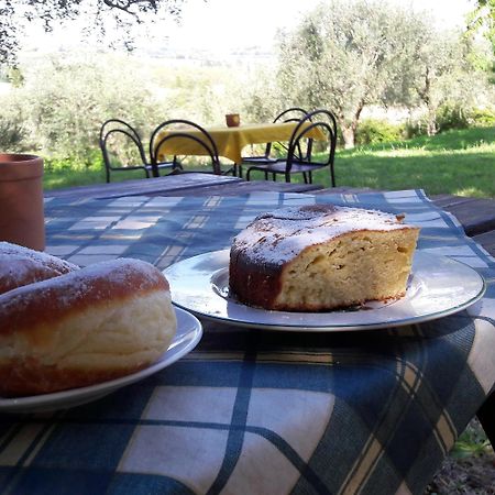 רימיני I Fagiani B&B מראה חיצוני תמונה