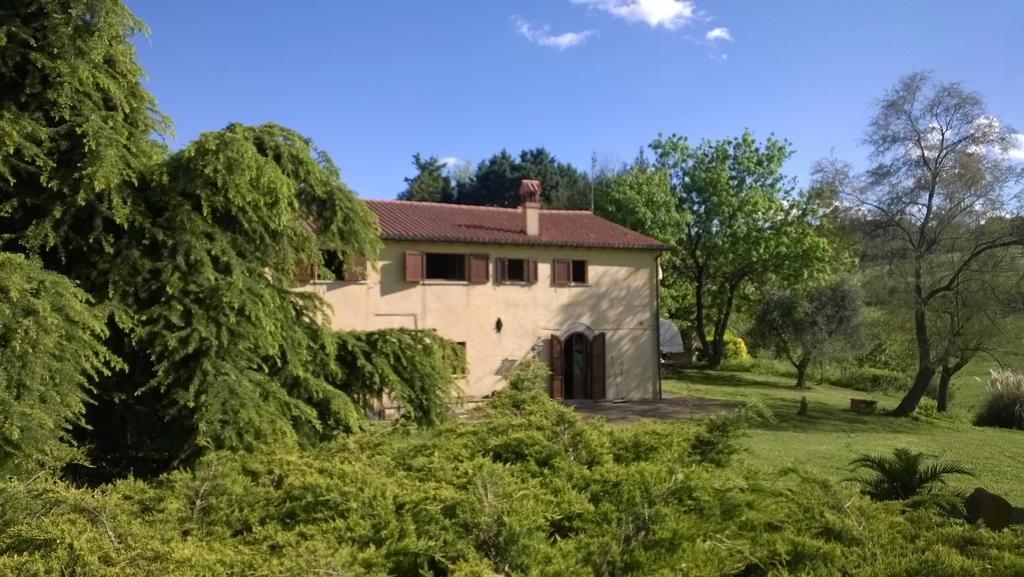 רימיני I Fagiani B&B מראה חיצוני תמונה