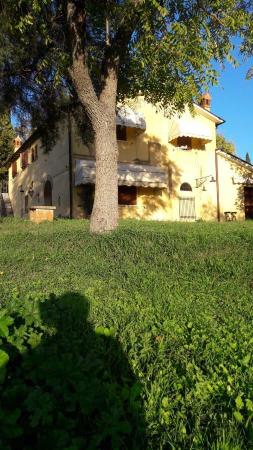 רימיני I Fagiani B&B מראה חיצוני תמונה
